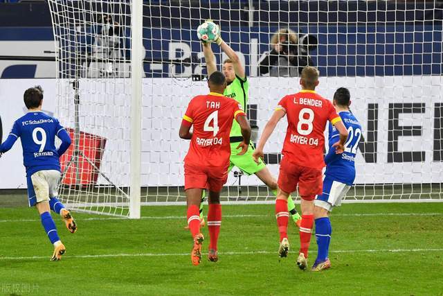 沙尔克:胜利如影随形,持续高歌猛进的简单介绍 沙尔克:胜利如影随形,持续高歌猛进的简单介绍