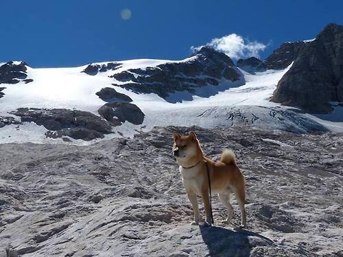 沪京对决惊现降维打击!欧文47分高能输出打崩京城防线