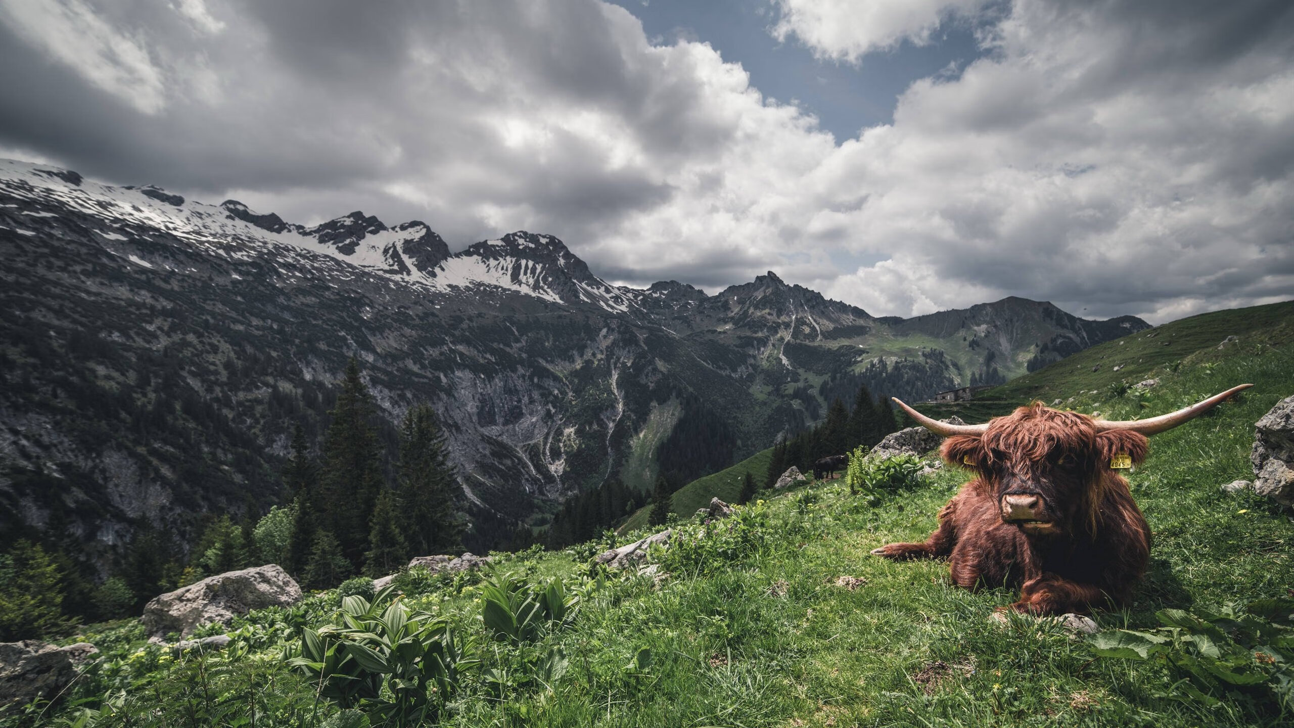 教科书上的硝烟,当恩佐在土耳其对阵雷恩的战场上挥毫