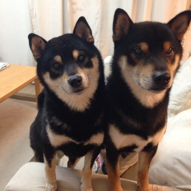 西班牙冲垮葡萄牙,恩佐的舞台法则—越大越强