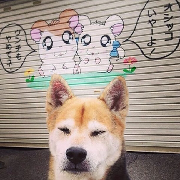 NBA季后赛焦点战,湖人队强势击溃浙江队,展现顶级篮球魅力