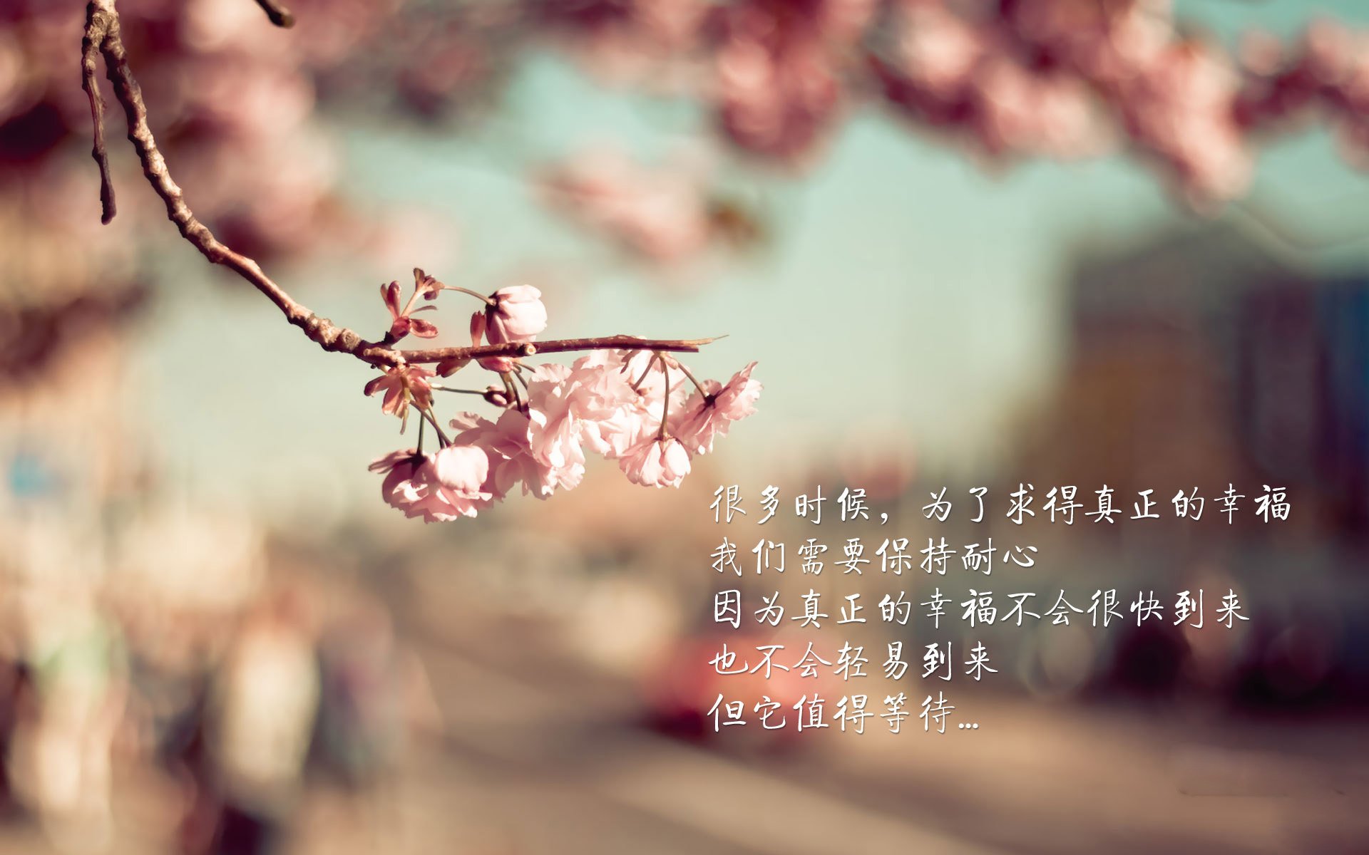 保罗神指挥带动全队节奏,上海队爆冷带走独行侠